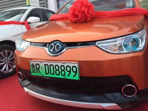 菏澤新能源車牌正式亮相